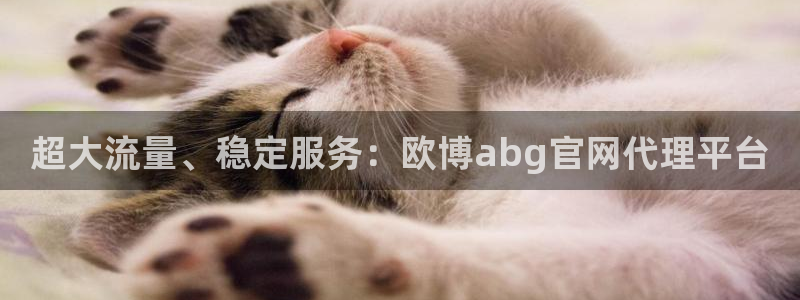 苹果版星耀国际下载安装：超大流量、稳定服务：欧博abg官网代理平台