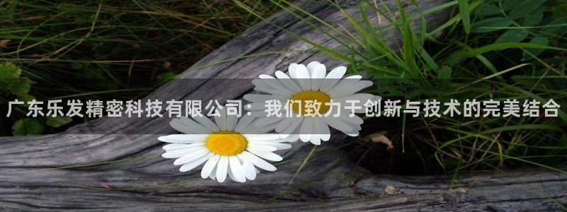 上海星耀国际汽车电子有限公司：广东乐发精密科技有限公司：我们致力于创新与技术的完