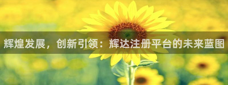 星耀国际加拿大下载：辉煌发展，创新引领：辉达注册平台的未来蓝图
