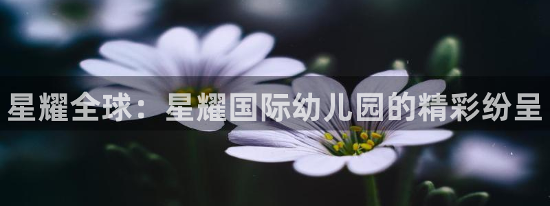 星耀国际体育注册：星耀全球：星耀国际幼儿园的精彩纷呈