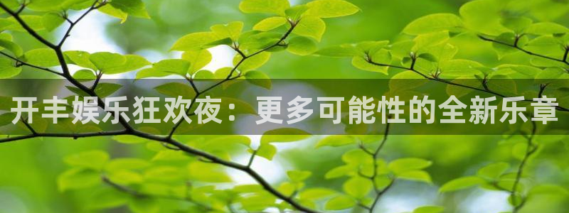 星耀国际路线1：开丰娱乐狂欢夜：更多可能性的全新乐章