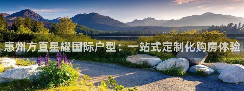 福建星耀国际机电股份公司：惠州方直星耀国际户型：一站式定制化购房体验