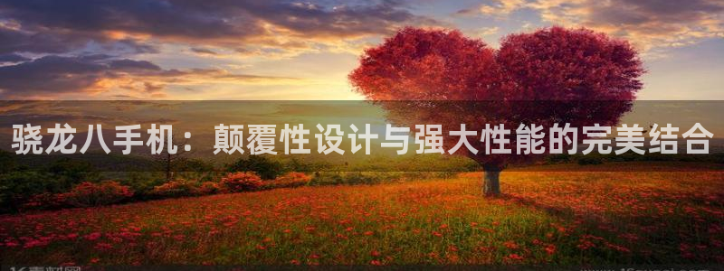 星耀国际体育平台注册：骁龙八手机：颠覆性设计与强大性能的完美结合