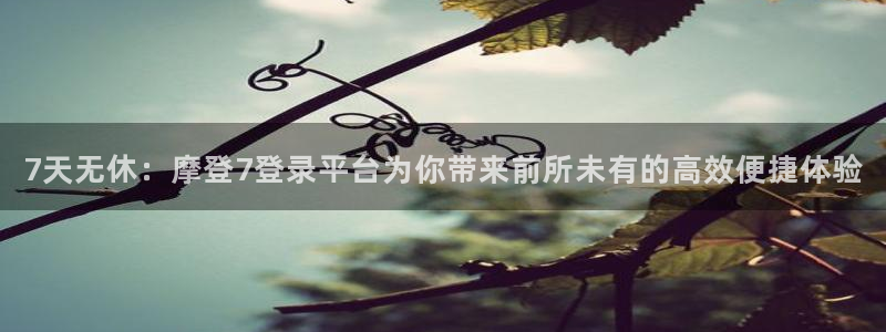星耀国际官网版下载链接：7天无休：摩登7登录平台为你带来前所未有的高效便捷体验