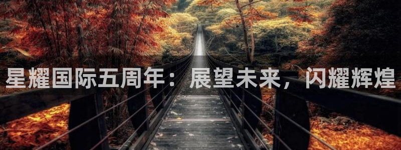 星耀国际麻将胡了：星耀国际五周年：展望未来，闪耀辉煌