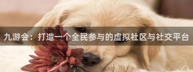 星耀国际股份：九游会：打造一个全民参与的虚拟社区与社交平台