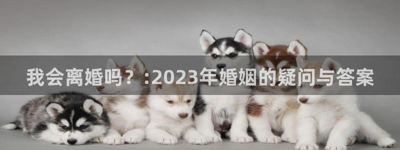 星耀国际注册网站app：我会离婚吗？:2023年婚姻的疑问与答案