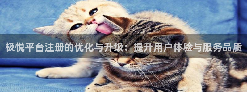 星耀国际软件：极悦平台注册的优化与升级：提升用户体验与服务品质