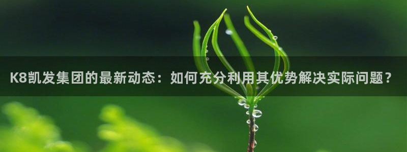 星耀国际注册登录入口：K8凯发集团的最新动态：如何充分利用其优势解决实际问题？