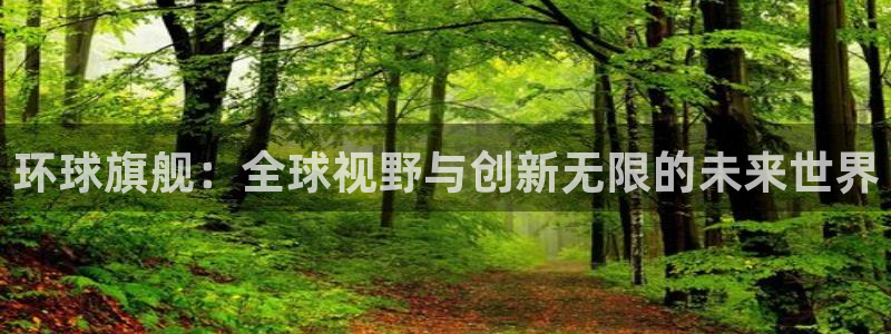 星耀国际体育1招商：环球旗舰：全球视野与创新无限的未来世界