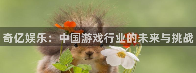 星耀国际加拿大在线预测：奇亿娱乐：中国游戏行业的未来与挑战