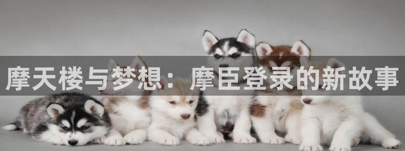 南宫星耀国际：摩天楼与梦想：摩臣登录的新故事