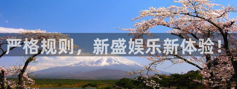 星耀国际网站：严格规则，新盛娱乐新体验！