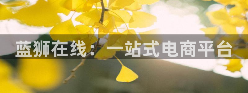 星耀国际股份：蓝狮在线：一站式电商平台