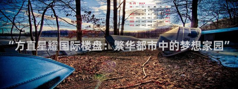 星耀国际.com：“方直星耀国际楼盘：繁华都市中的梦想家园”
