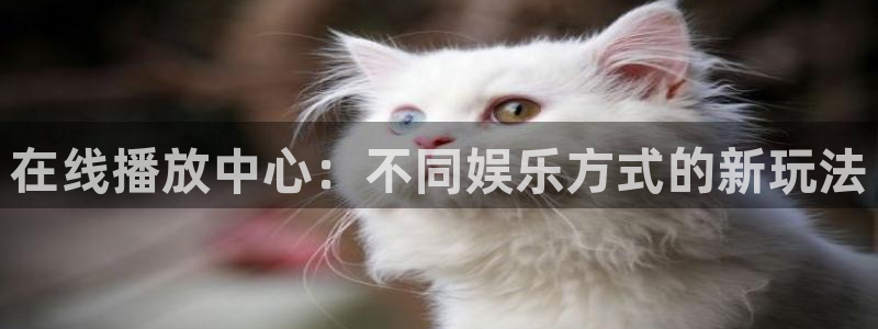 星耀国际下载入口：在线播放中心：不同娱乐方式的新玩法