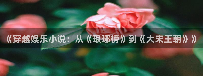 星耀国际体育娱乐注册链接：《穿越娱乐小说：从《琅琊榜》到《大宋王朝》》