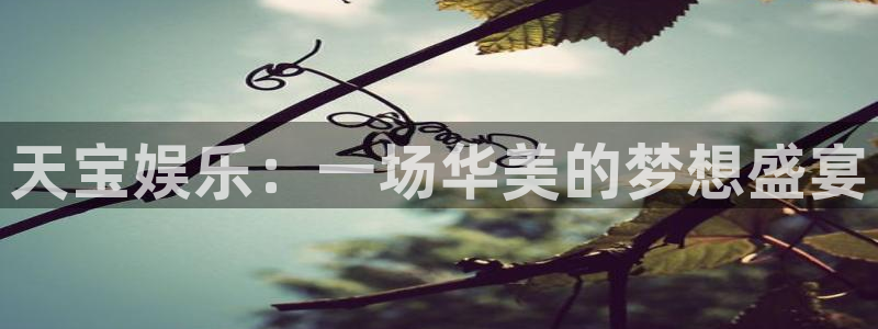 星耀国际.ccm官网版：天宝娱乐：一场华美的梦想盛宴