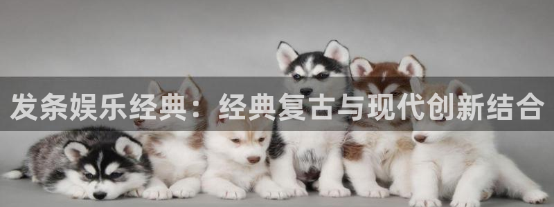 星耀国际注册网页版：发条娱乐经典：经典复古与现代创新结合