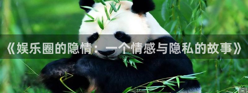 星耀国际体育游戏：《娱乐圈的隐情：一个情感与隐私的故事》