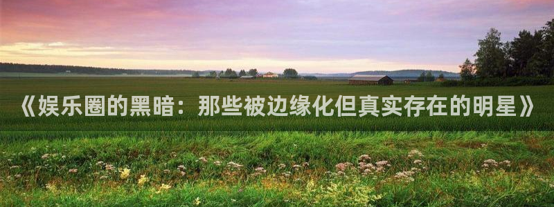 星耀国际体育老板是谁：《娱乐圈的黑暗：那些被边缘化但真实存在的明星》