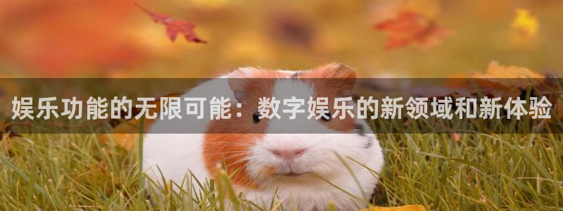 星耀国际预测pc在线预测网址：娱乐功能的无限可能：数字娱乐的新领域和新体验