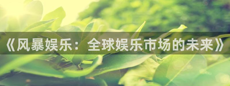 星耀国际体育凯捷平台招商：《风暴娱乐：全球娱乐市场的未来》