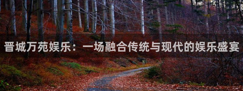 星耀国际体育2官网入口：晋城万苑娱乐：一场融合传统与现代的娱乐盛宴