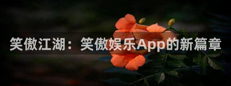 星耀国际现在优惠多少：笑傲江湖：笑傲娱乐App的新篇章