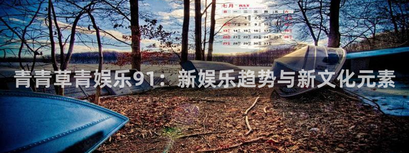 星耀国际能源：青青草青娱乐91：新娱乐趋势与新文化元素